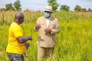 Le président Macky Sall se dit rassuré par ce qu’il a trouvé à Sibassor et a réitéré son appel pour un retour vers la terre tout en garantissant l’accompagnement de l’État notamment en termes d’équipements et de protection des végétaux.